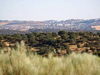 Vistas