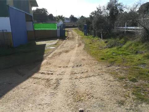 Jardín