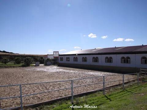 Desconocido