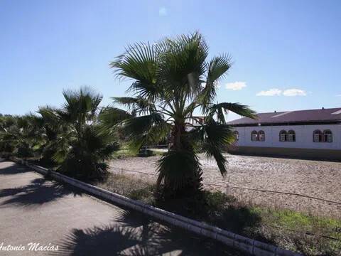 Desconocido
