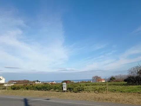 Vistas