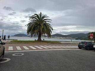 Vistas