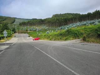 Jardín