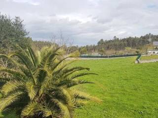 Jardín
