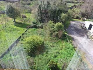 Jardín