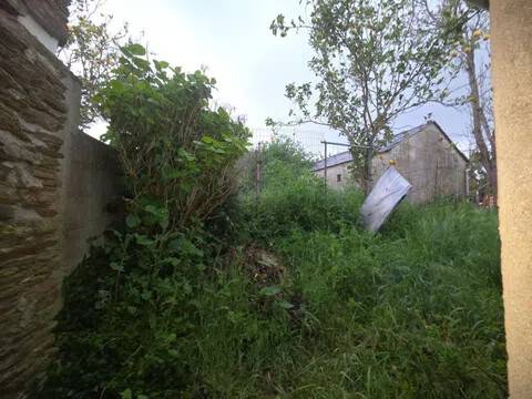 Jardín