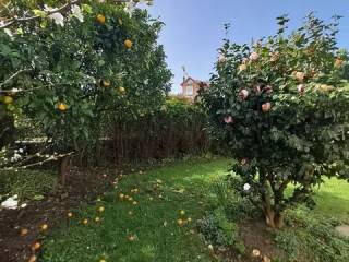 Jardín