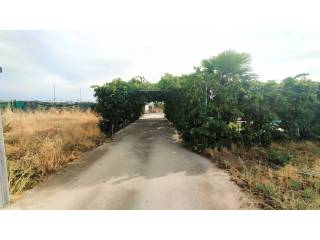 Jardín