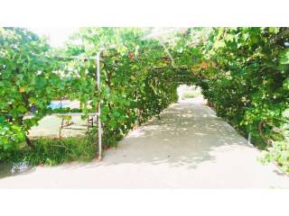 Jardín