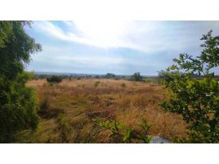 Vistas