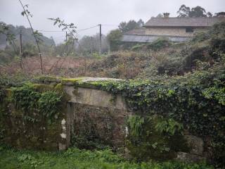 Jardín