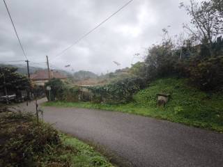 Vistas