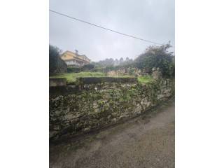 Vistas