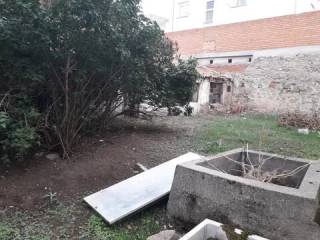 Jardín