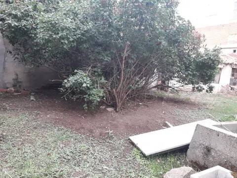 Jardín