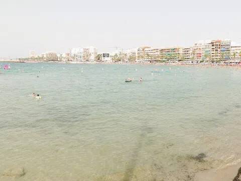 Vistas