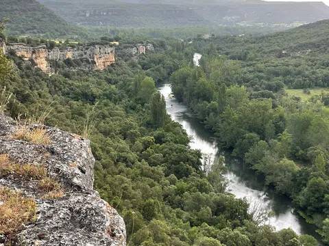 Vistas