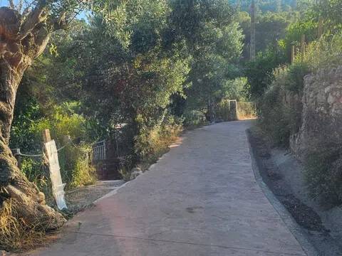 Jardín