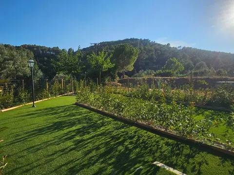 Jardín