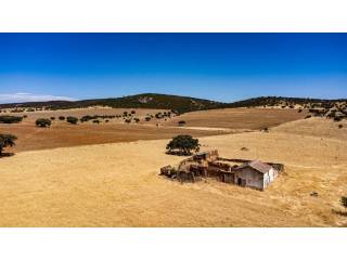 Alrededores