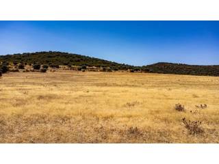 Alrededores