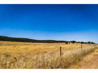 Alrededores