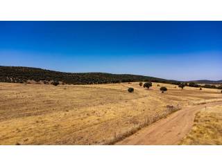 Alrededores