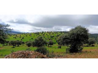 Alrededores