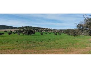 Alrededores