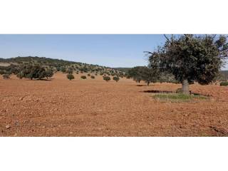 Alrededores
