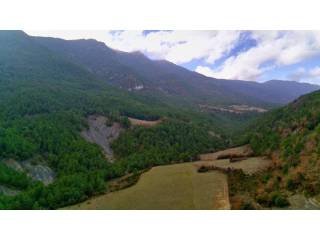 Vistas