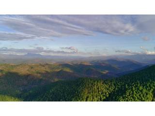 Vistas