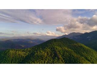 Vistas