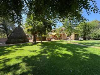 Jardín