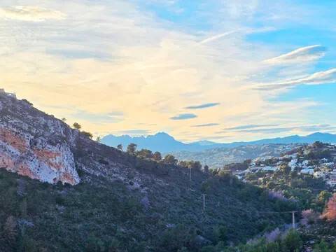 Vistas