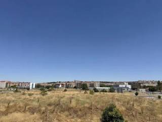 Vistas