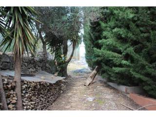 Jardín