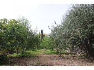 Jardín