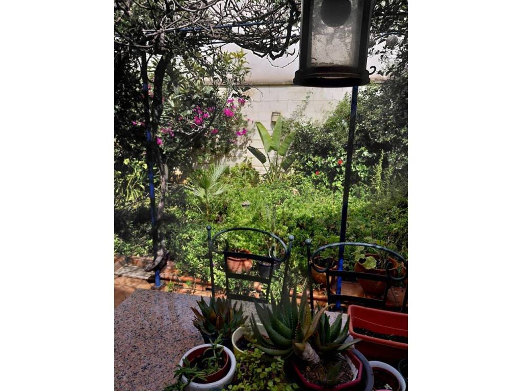 Jardín