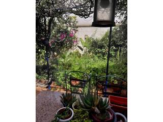 Jardín