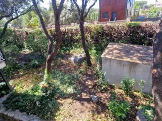 Jardín