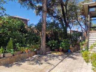 Jardín