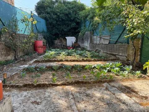 Jardín