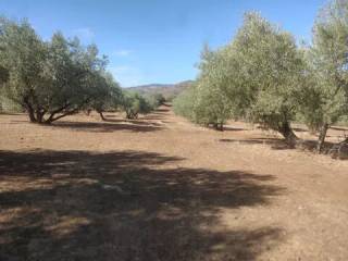 Jardín