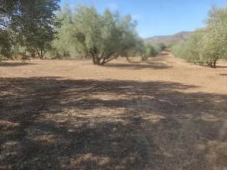 Jardín