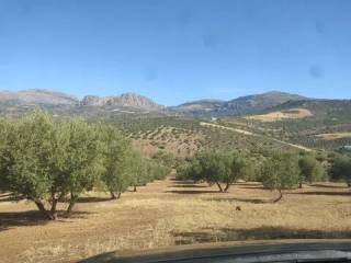 Vistas