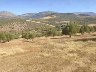 Vistas