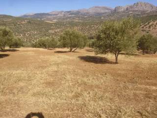 Vistas