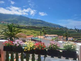 Vistas