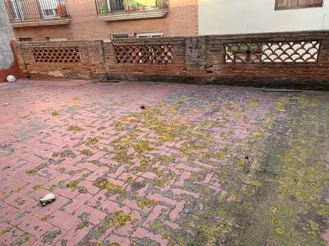 Terraza